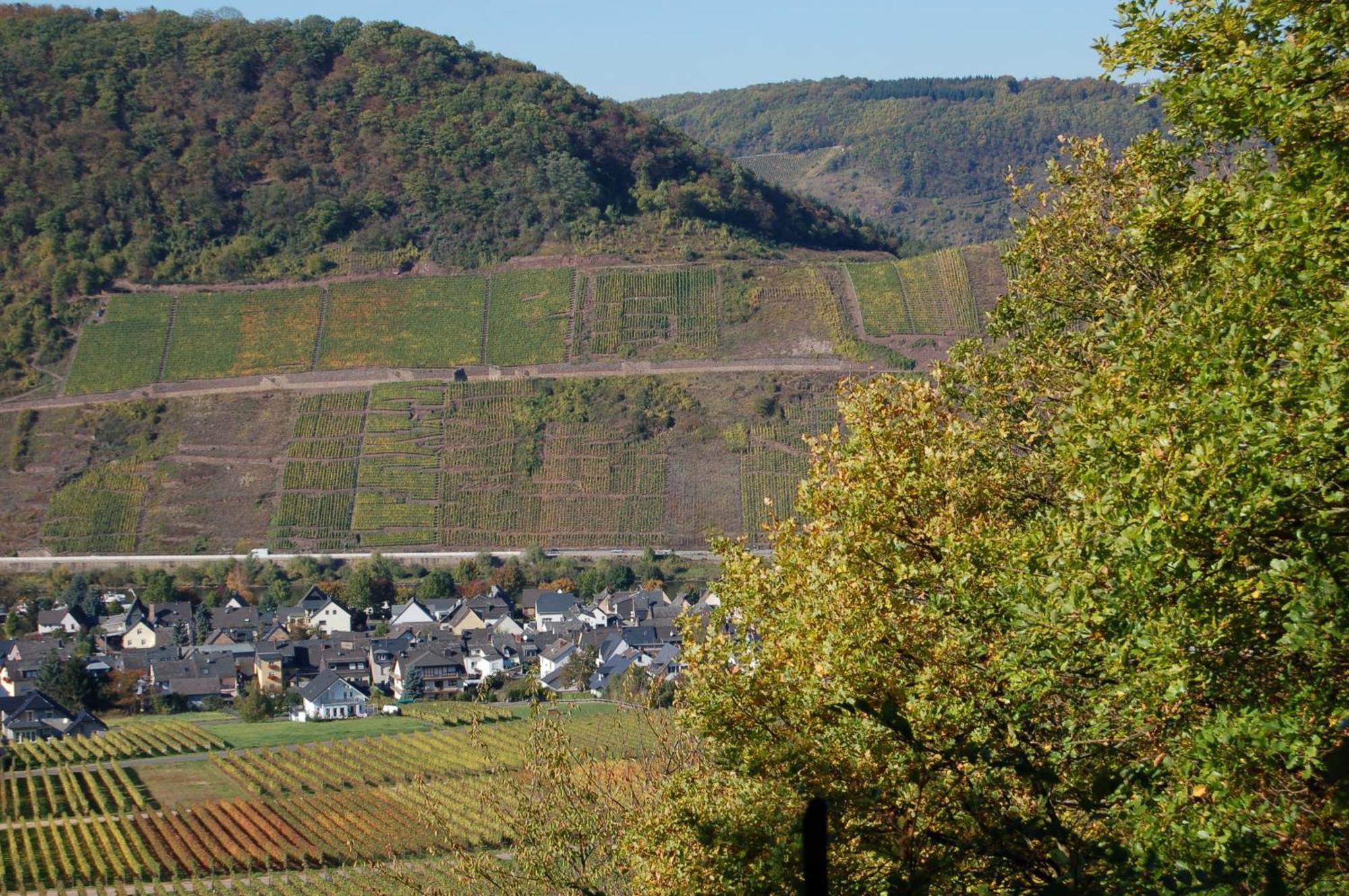 ברוטיג-פאנקל Ferienhaus Mosel Bub מראה חיצוני תמונה