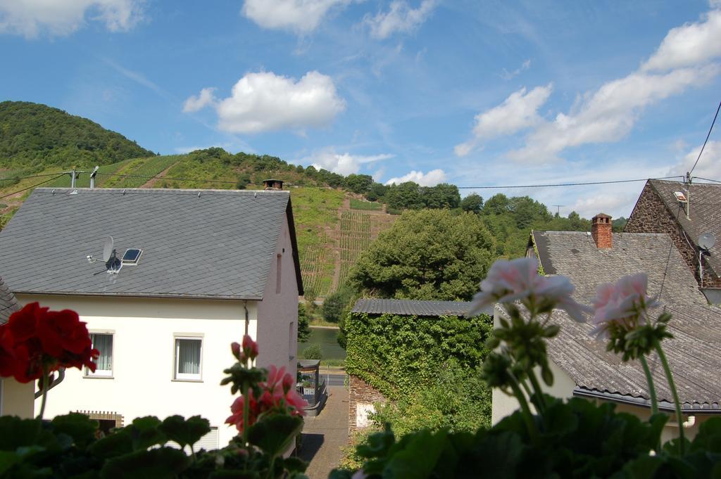 ברוטיג-פאנקל Ferienhaus Mosel Bub חדר תמונה